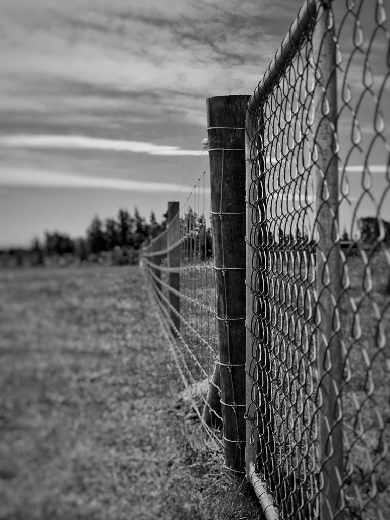 20240205 151650 01 - Johnson Fencing Christchurch project