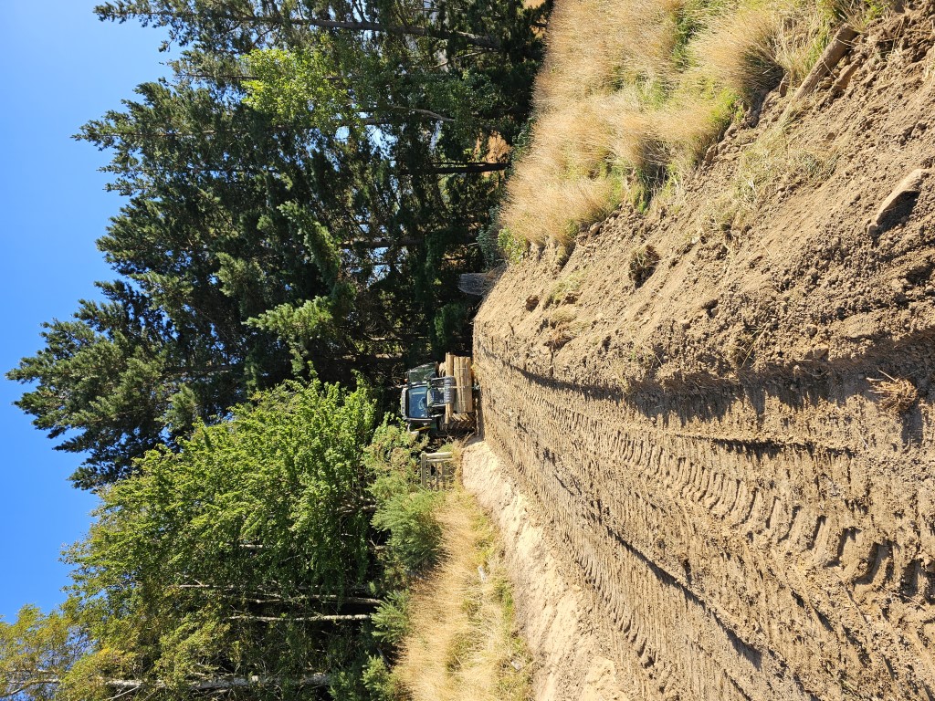 20240221 083635 - Johnson Fencing Christchurch project