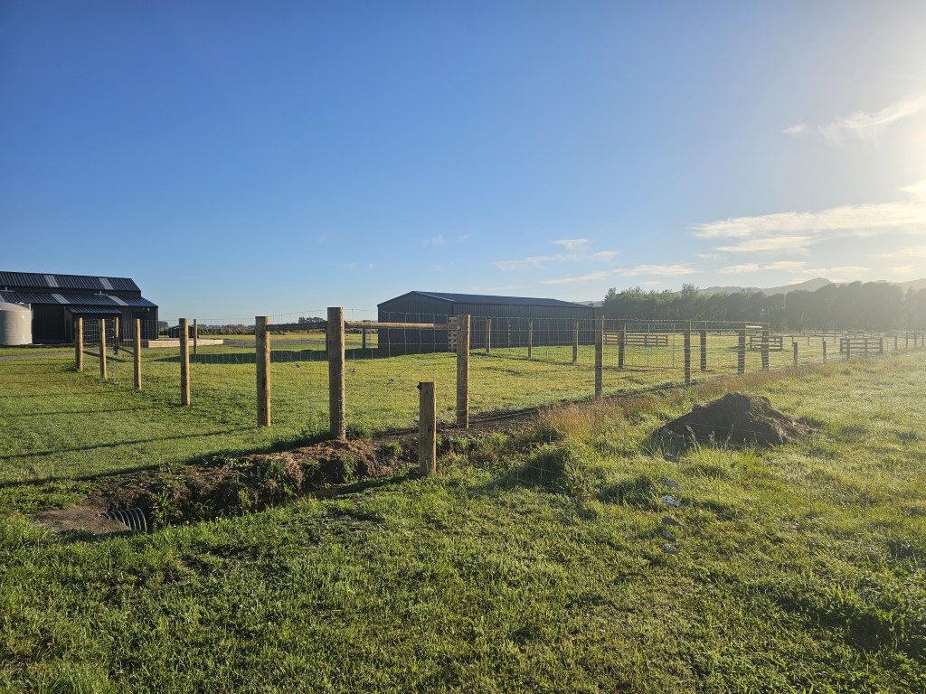 20250306 083806 - Fencing & Retaining Walls Christchurch project
