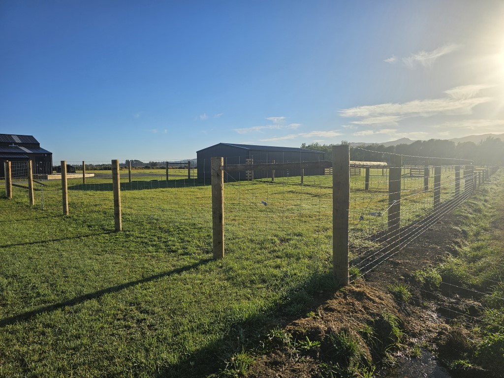 20250306 083814 - Fencing & Retaining Walls Christchurch project